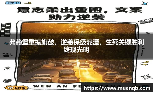 77体育
