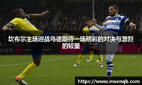 77体育在线直播官网